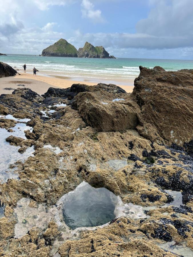 Cornish Sandy Toes *